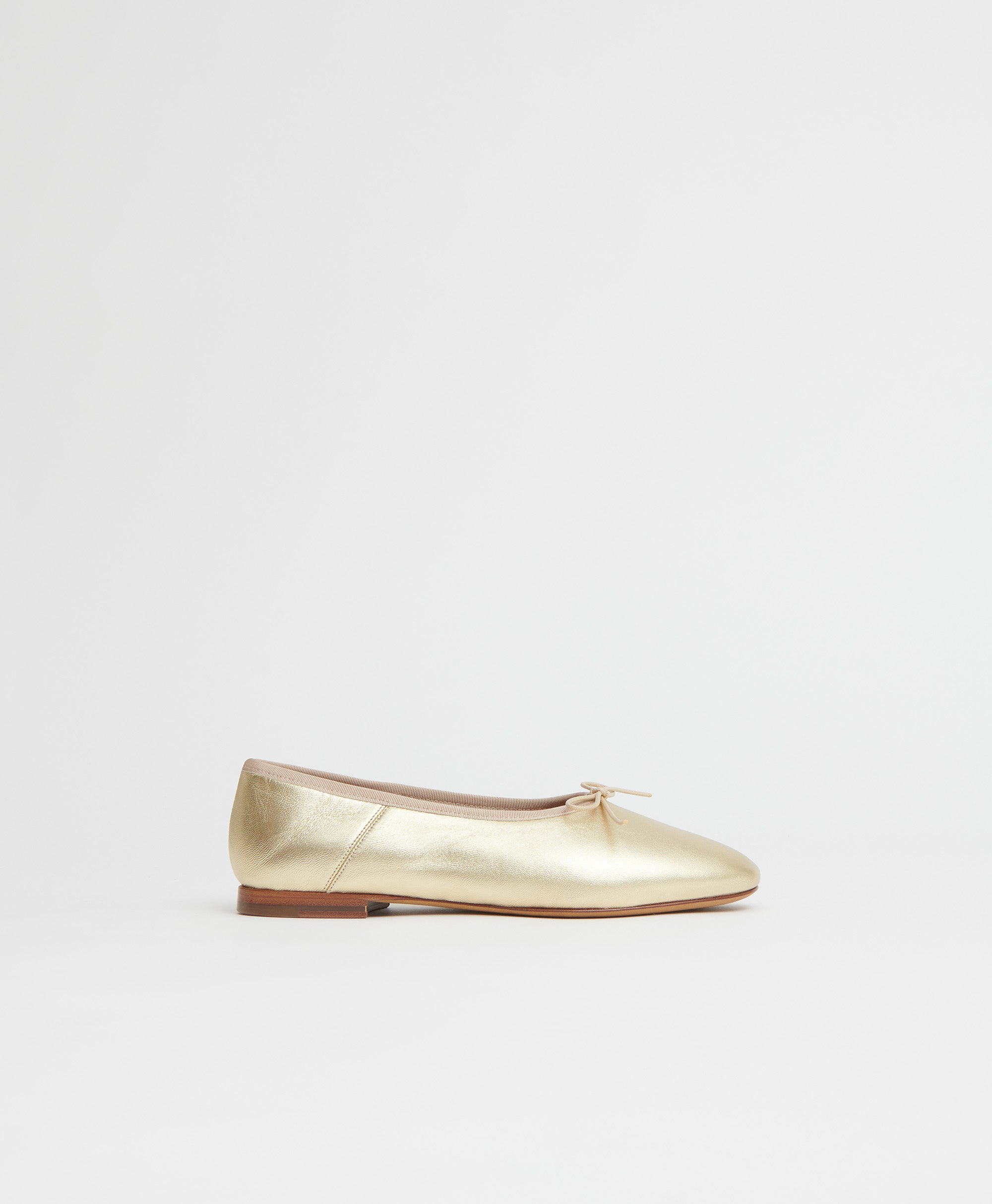 DREAM BALLERINA - 1