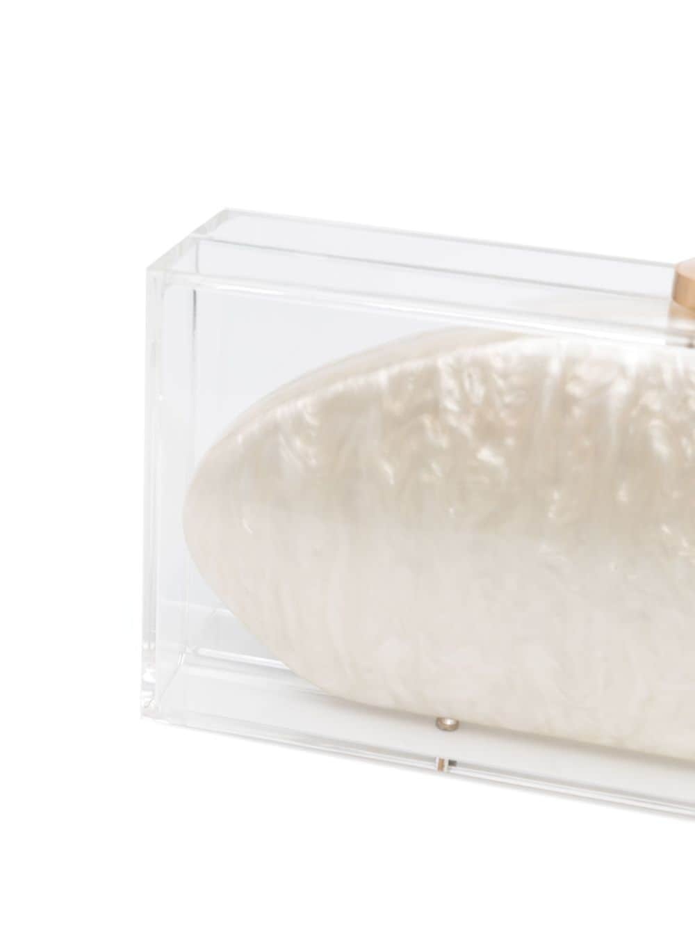 Annika transparent clutch bag - 4