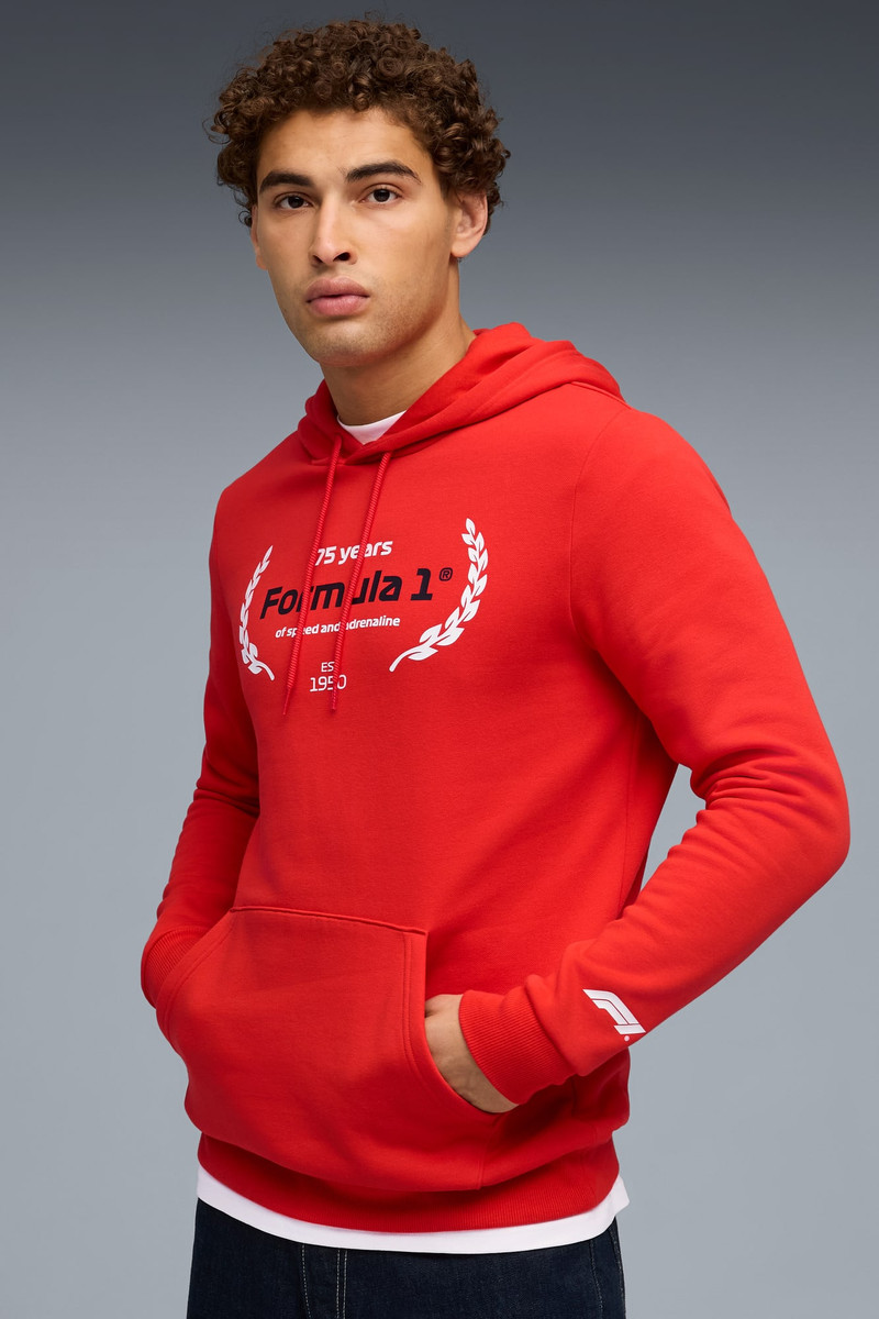 PUMA Formula 1® Motorsport Essentials Men's Hoodie outlook