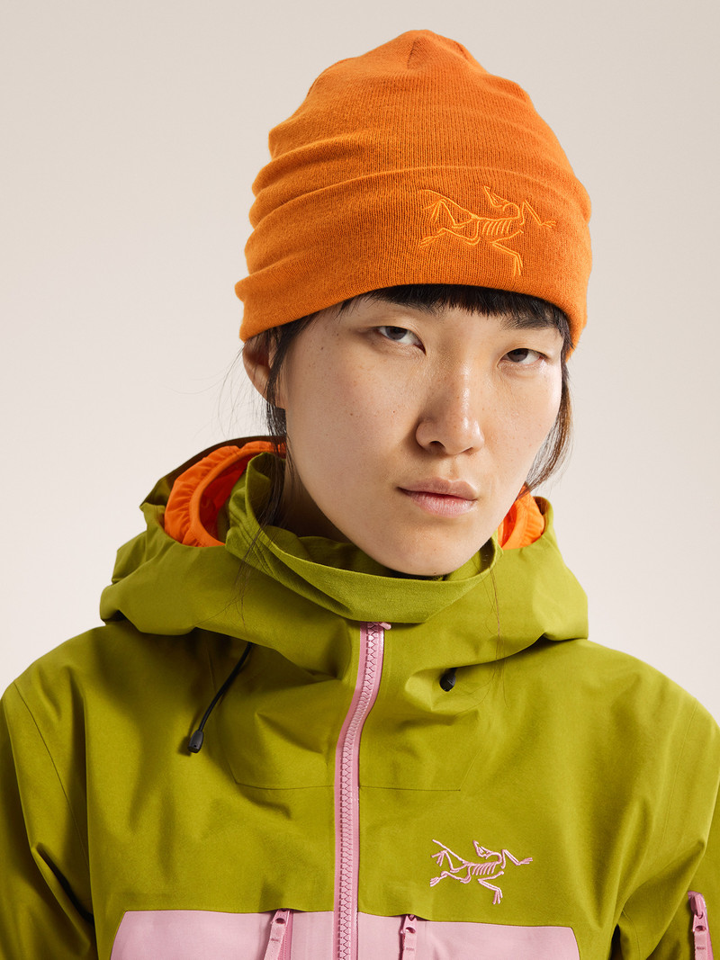 Arc'teryx Embroidered Bird Toque outlook