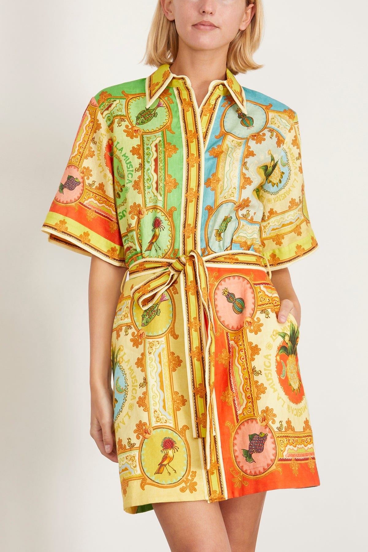 La Musica Mini Dress in Multi - 3