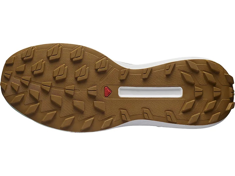 Salomon S/Lab Genesis LE v2 - 4