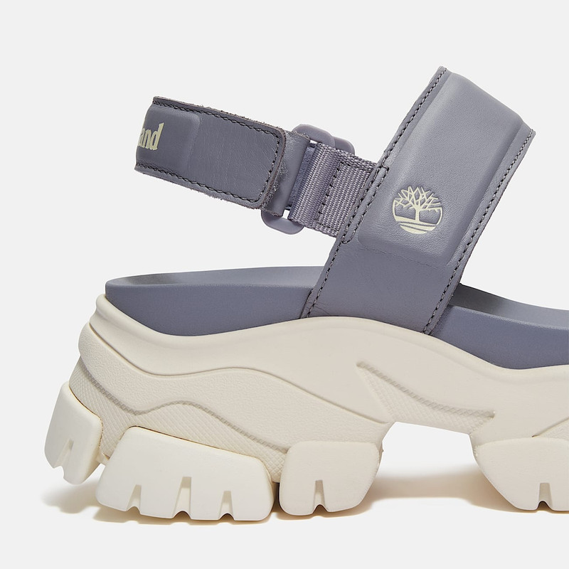 Women's Adley Way Backstrap Sandal 6