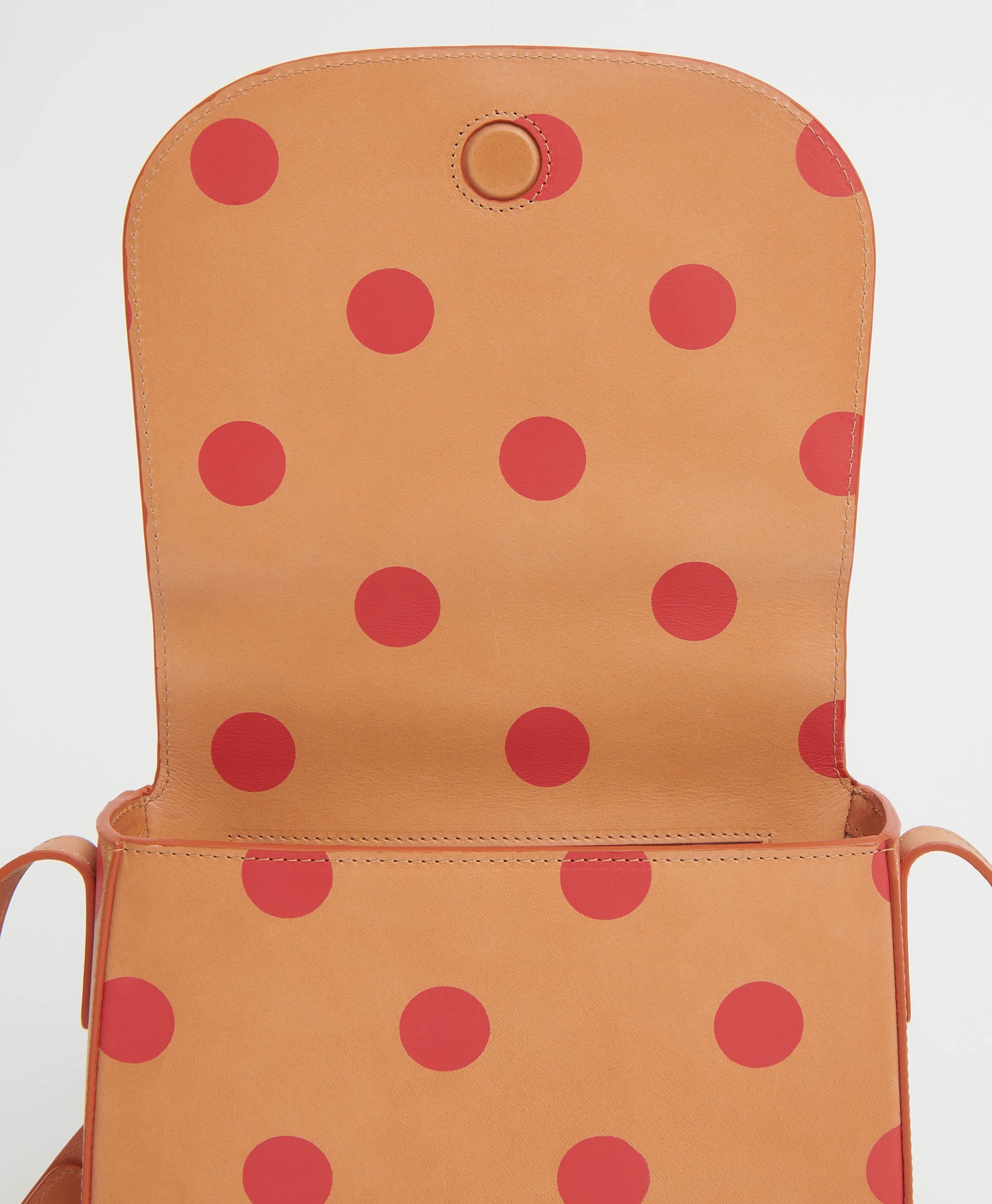 CLASSIC CROSSBODY - 6