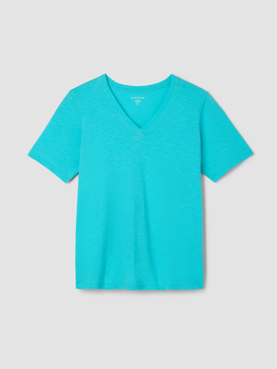 Organic Cotton Slubby Jersey V-Neck Tee - 1