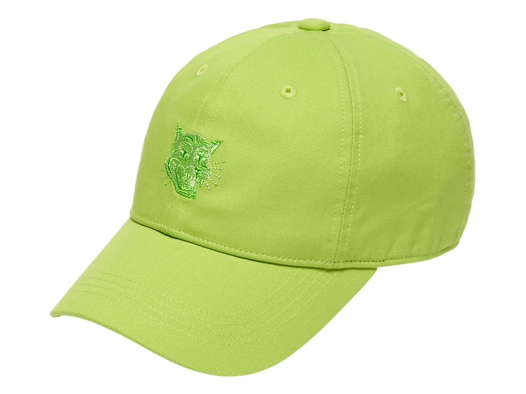CAP - 1