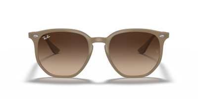 Ray-Ban RB4306 outlook