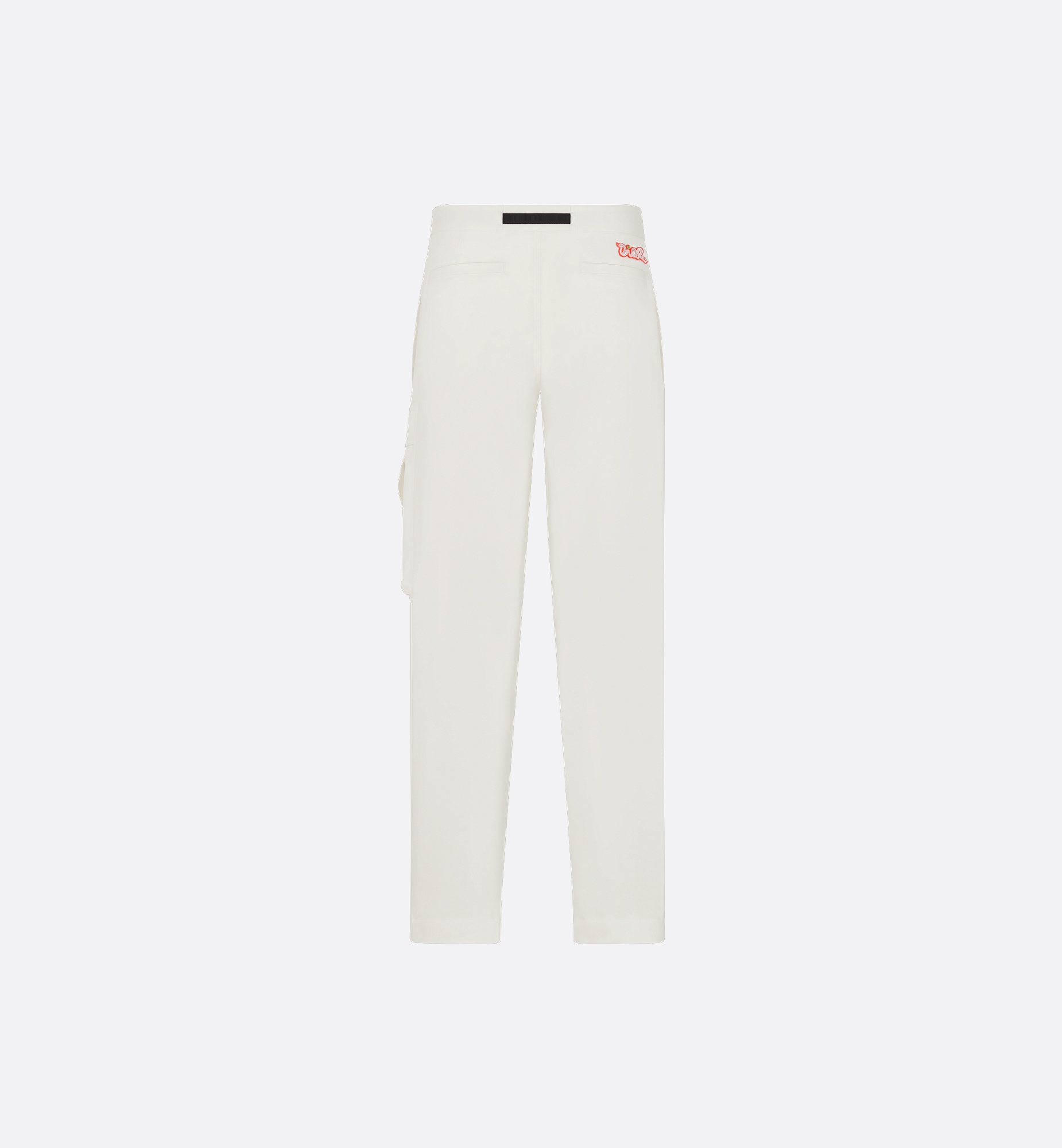 DIOR AND KAWS Cargo Pants - 6