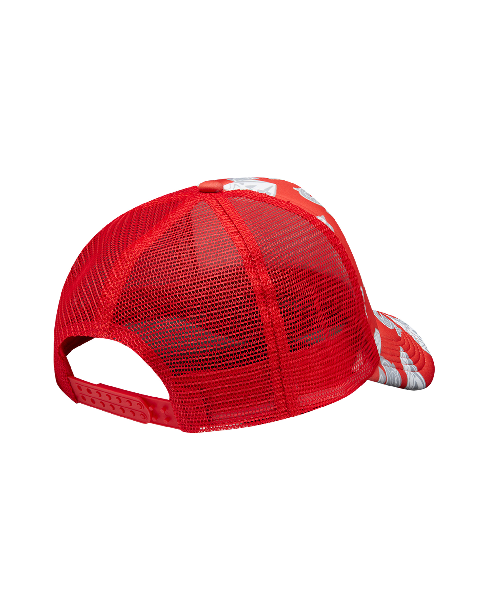DIAMONDS & DOLLARS TRUCKER CAP - 2