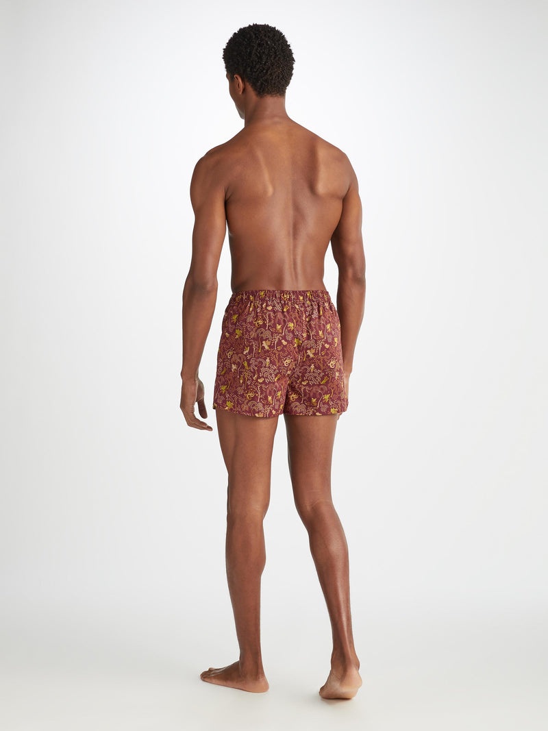 Men's Modern Fit Boxers Ledbury 74 Cotton Batiste Burgundy - 4