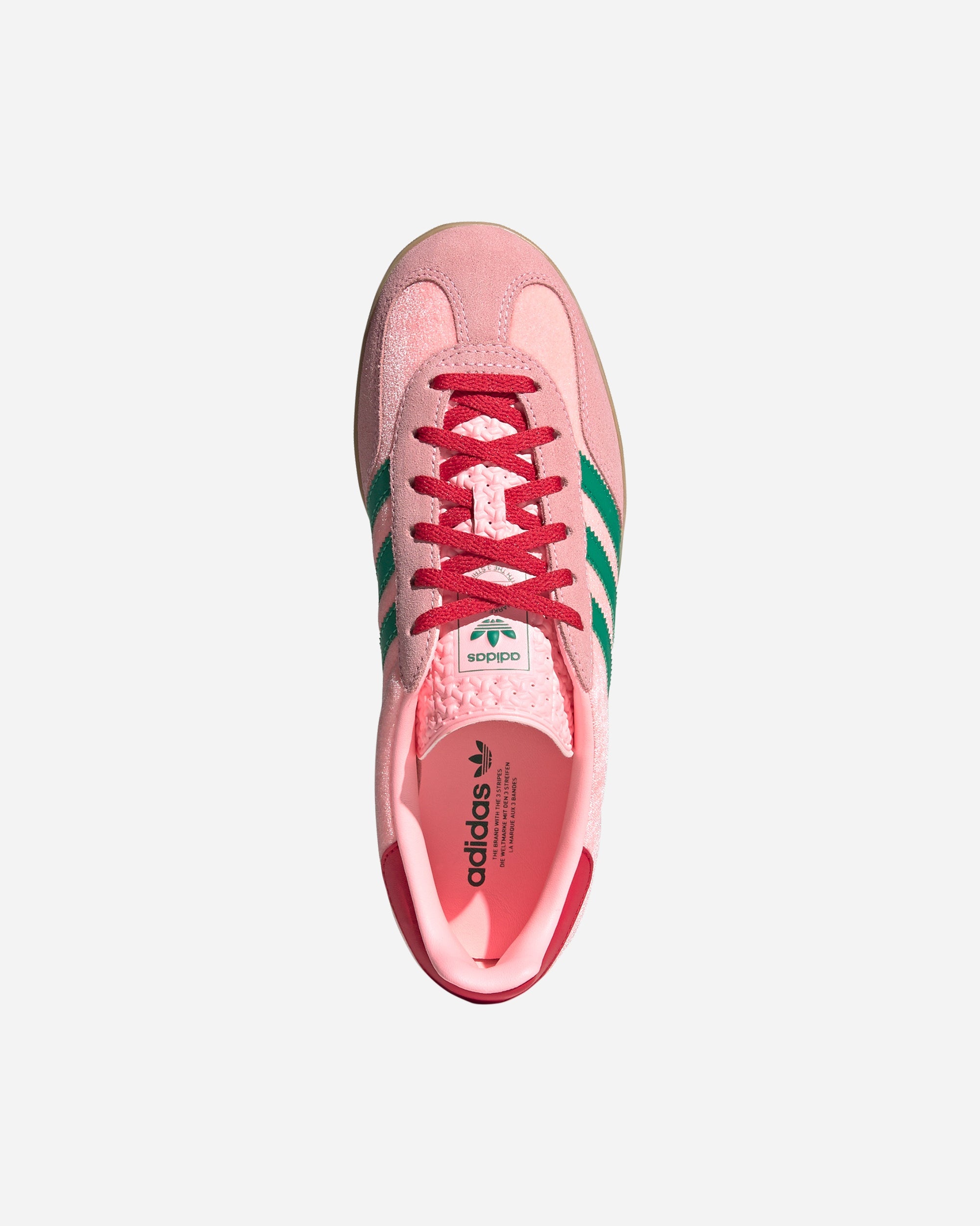 Gazelle Indoor - 4