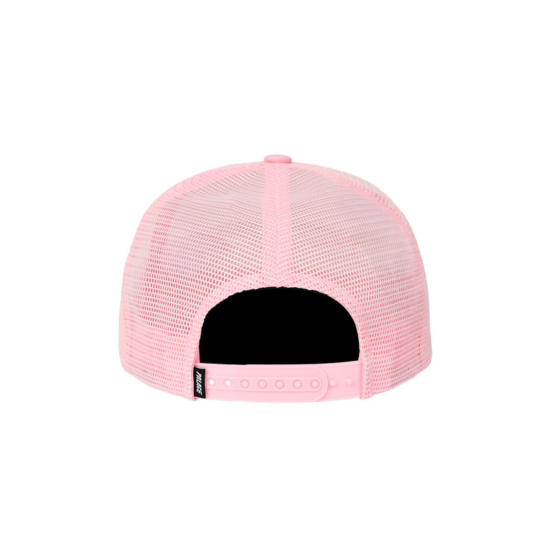 PALACE EVIL PALACE TRUCKER LUSH FLUSH outlook