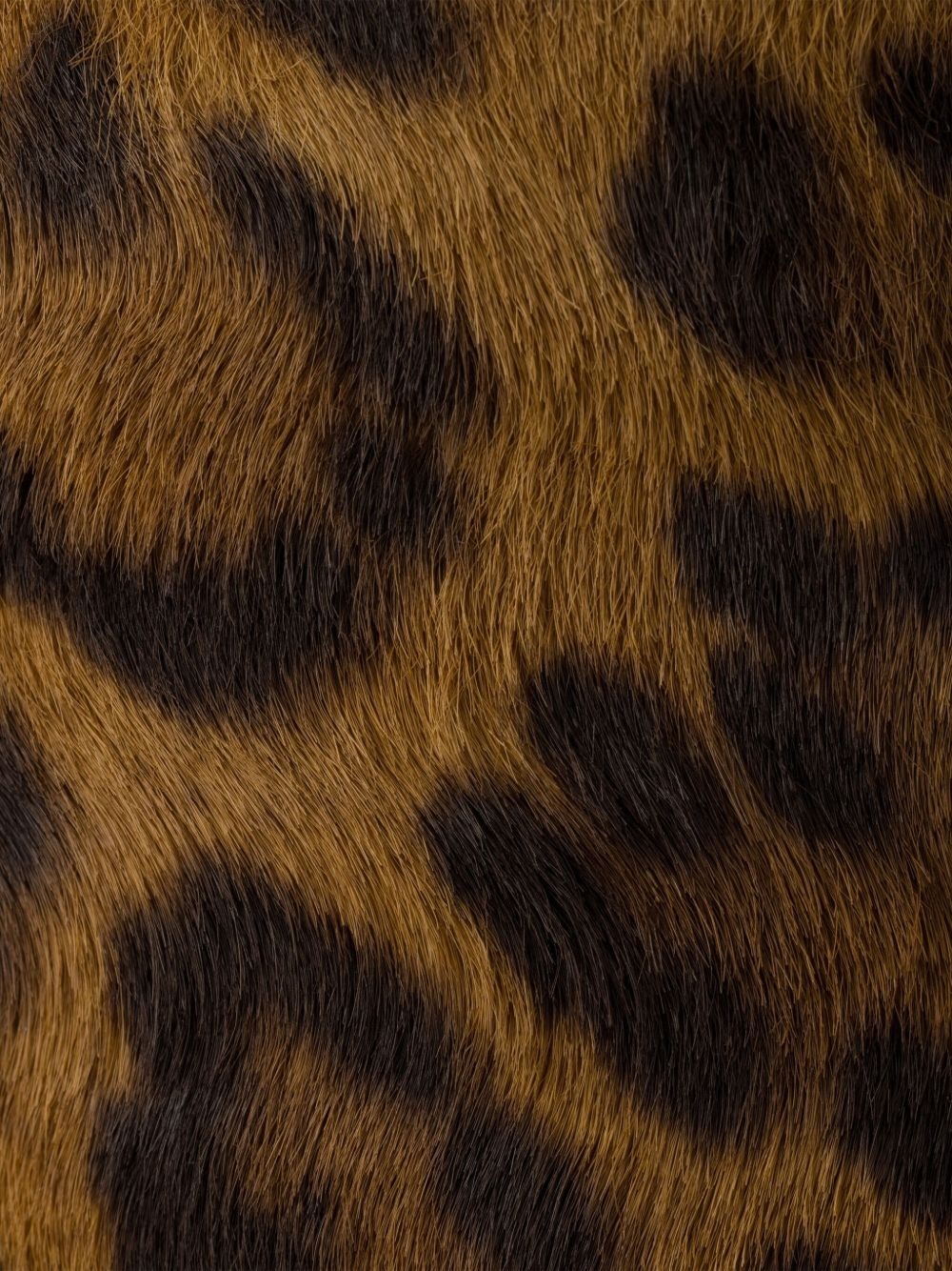 leopard-print leather mules - 5