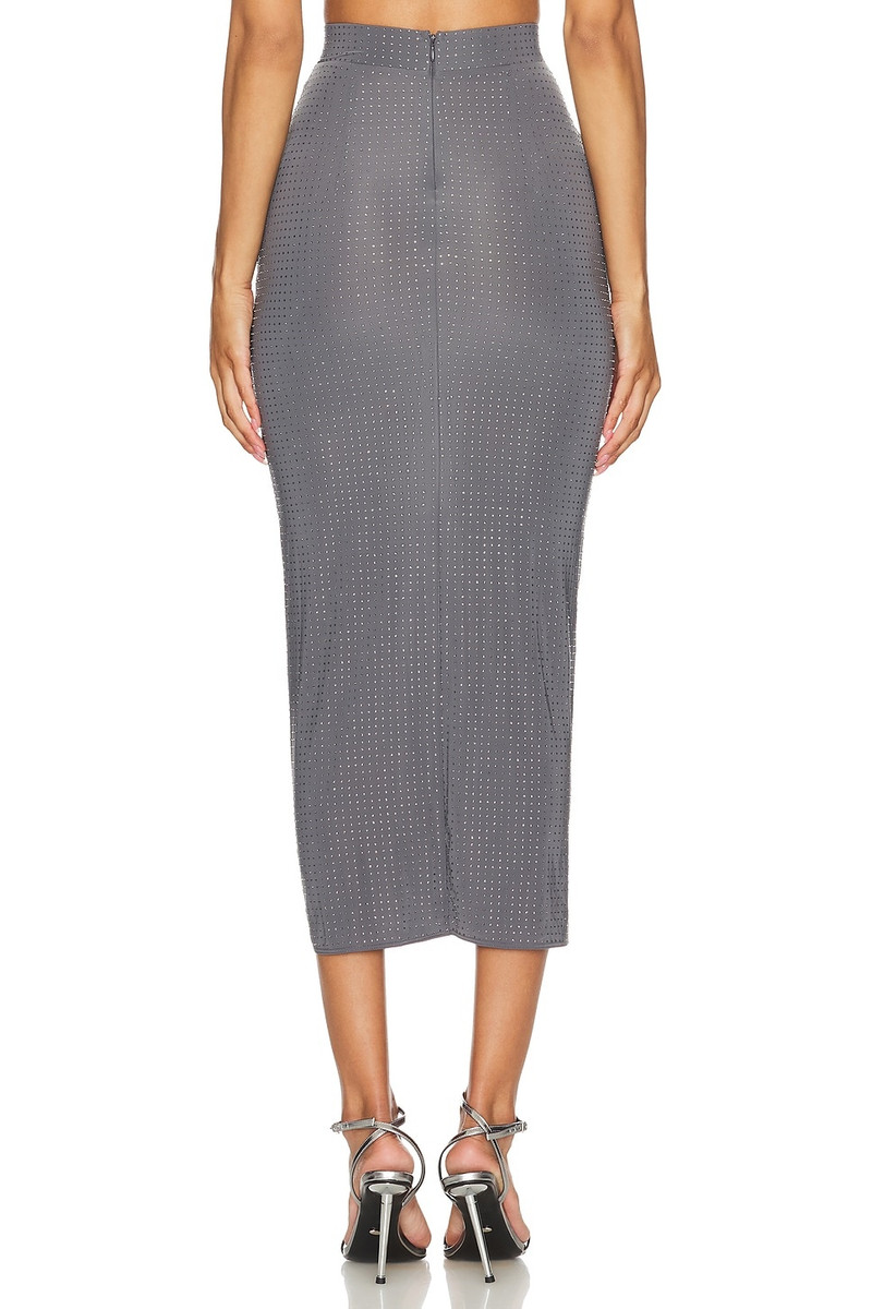 ALEX PERRY Crystal Skirt outlook