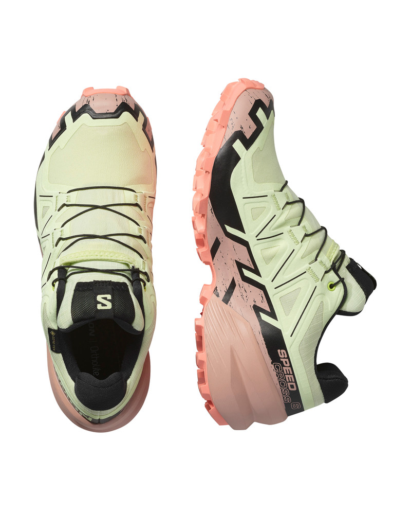 SALOMON SPEEDCROSS 6 GORE-TEX outlook