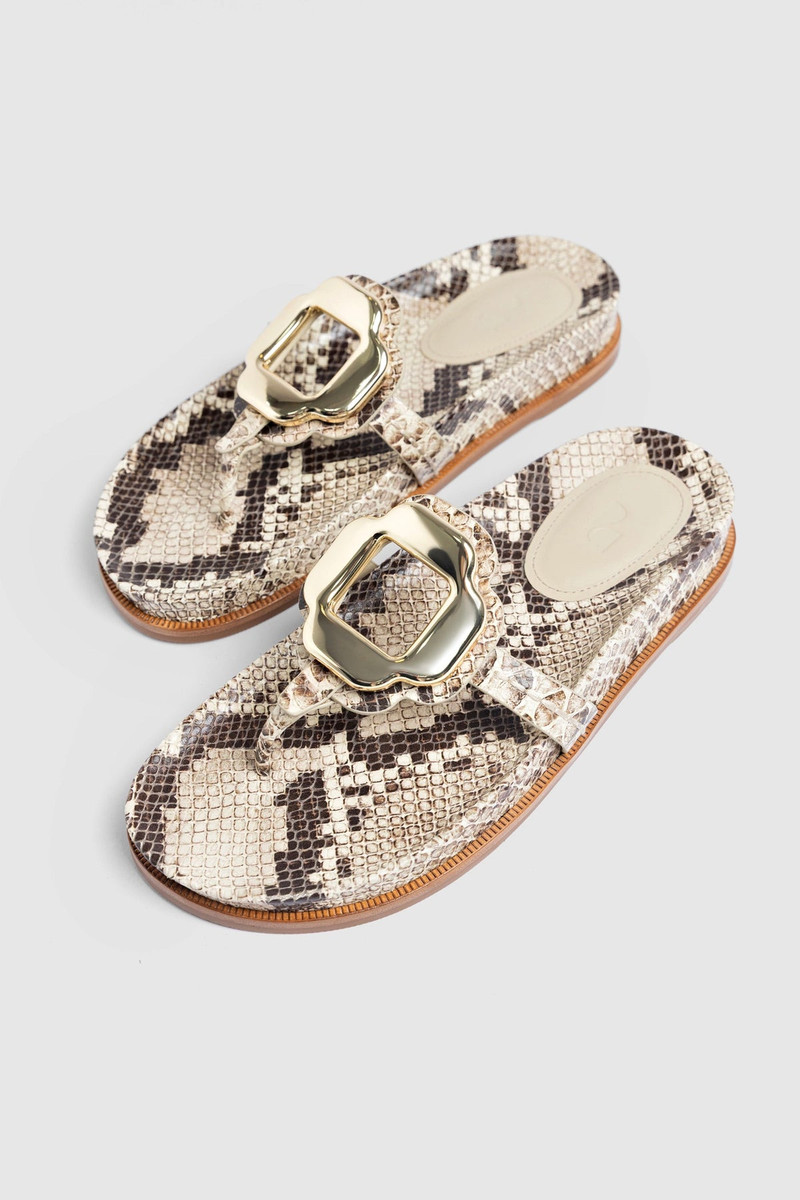 Margherita Sport Sandal Snake Leather 6