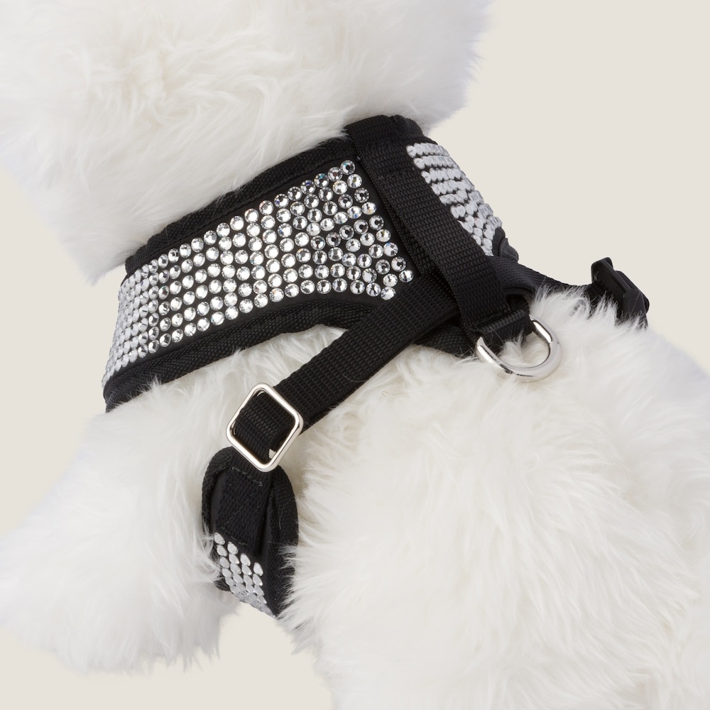 Satin pet harness - 3