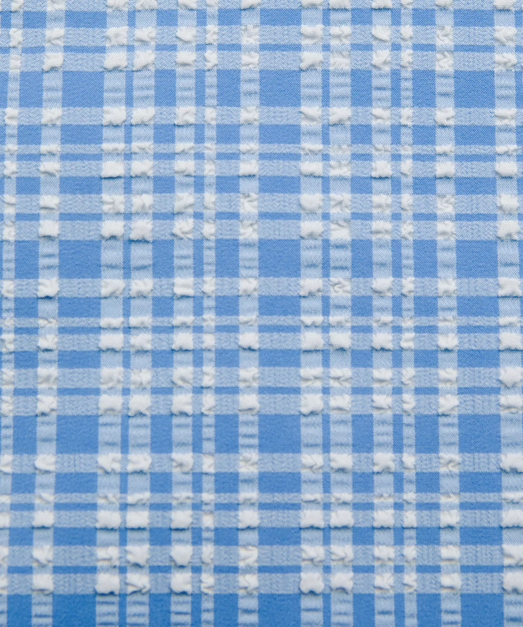 Seersucker Check Mid-Rise Pull-On Pant - 8