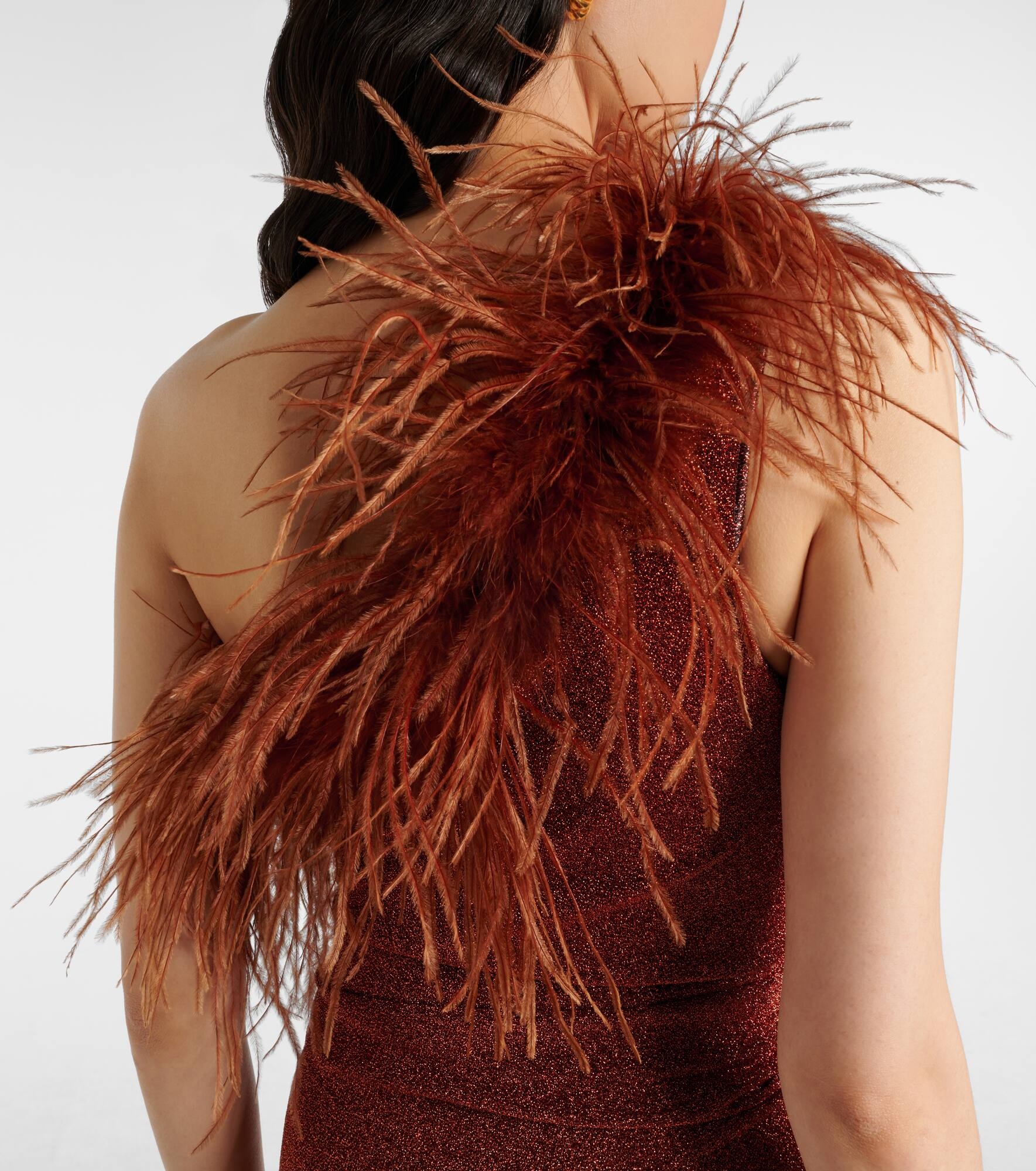 Lumière Plumage maxi dress - 6
