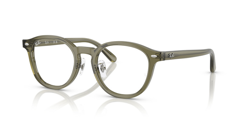 RB5443D OPTICS 1