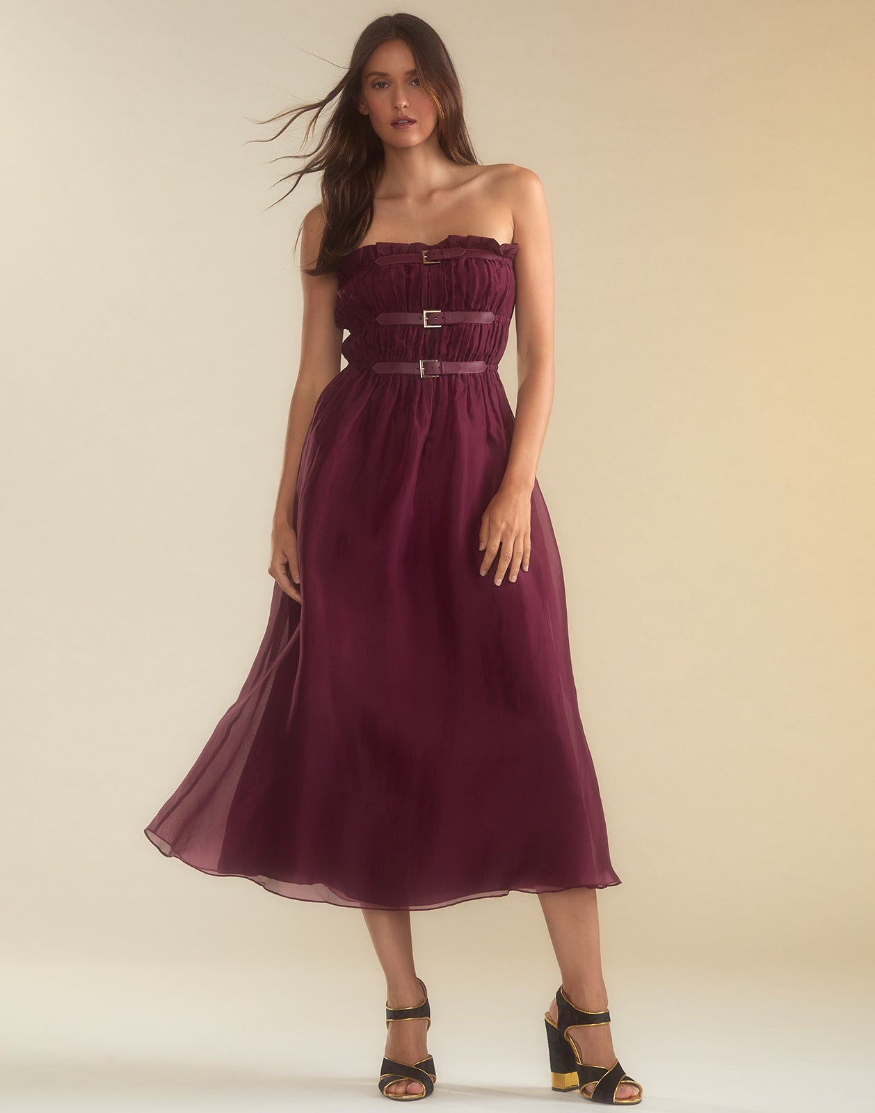 Buckle Up Silk Organza Dress - 1