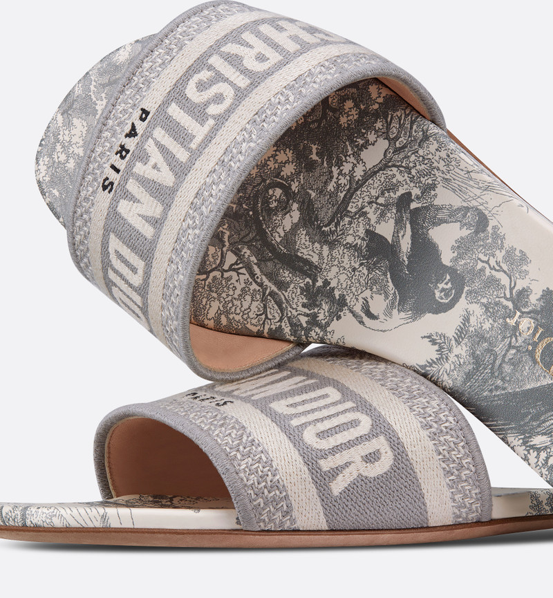 Dior Dway Slide outlook