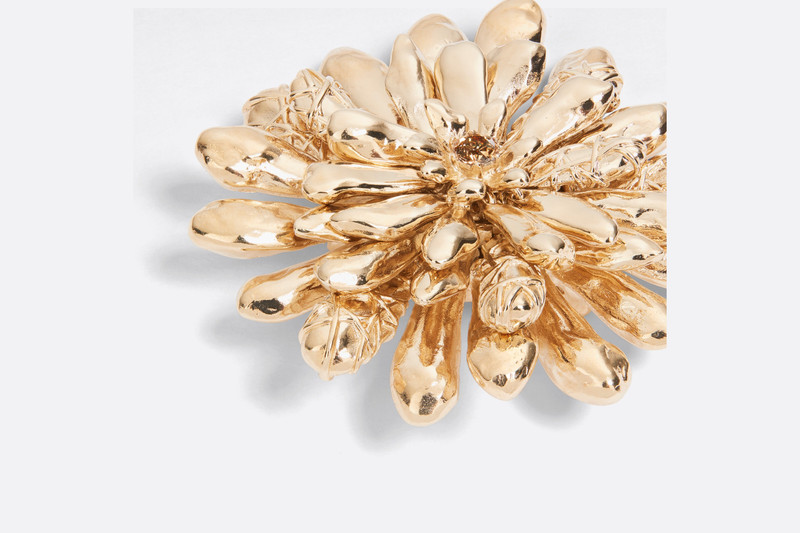 Dior Cannage Brooch outlook