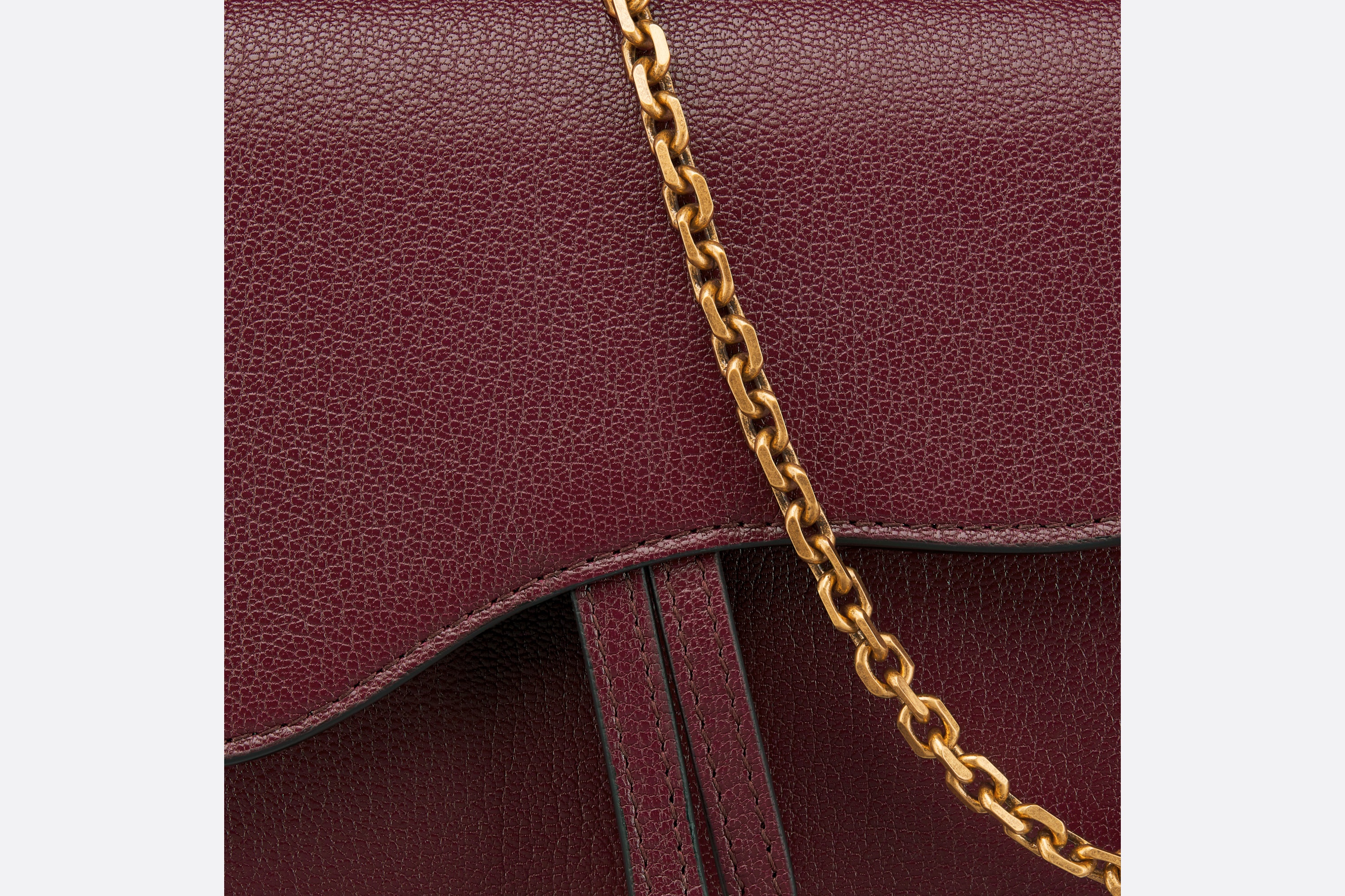 Saddle Pouch with Chain - 5