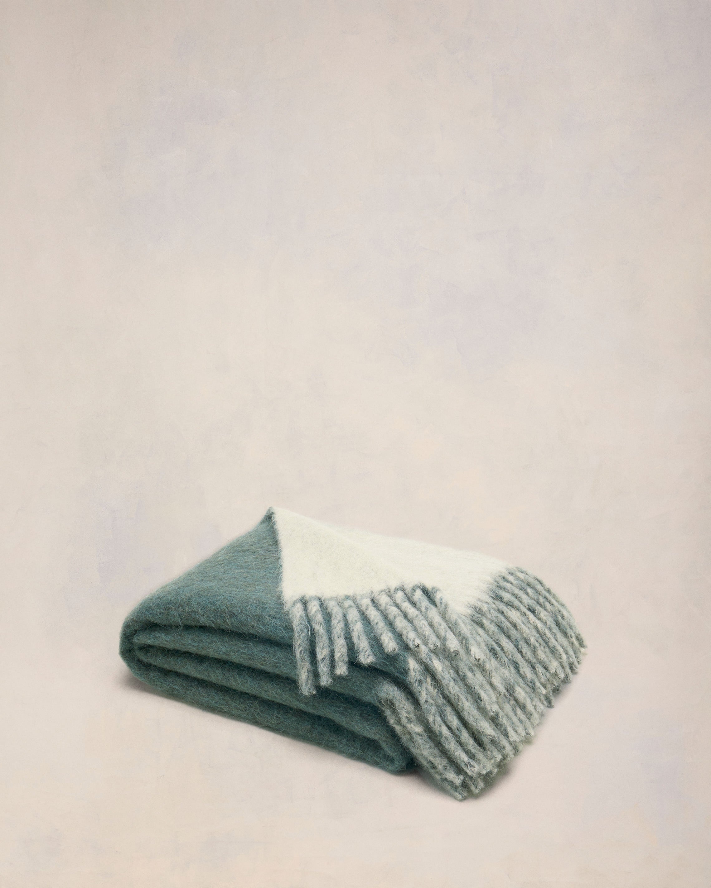 BICOLOR DOUBLE-SIDED BLANKET WITH AMI ALEXANDRE MATTIUSSI TAB - 1