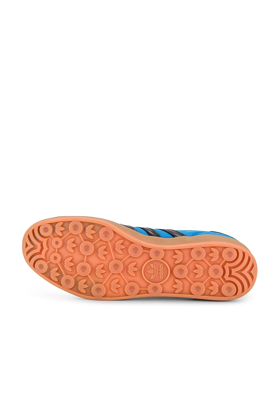 Gazelle Indoor - 6