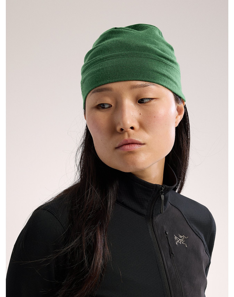 Arc'teryx Rho Lightweight Wool Toque outlook