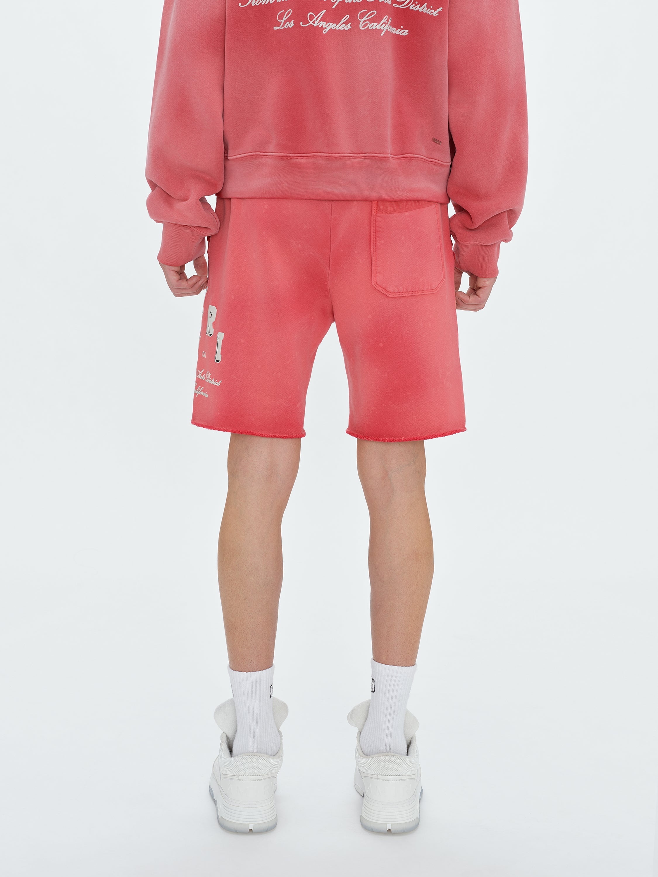 VINTAGE COLLEGIATE SHORTS - 4