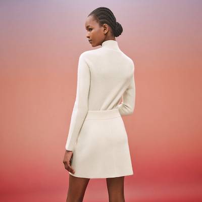 Hermès Miniskirt outlook