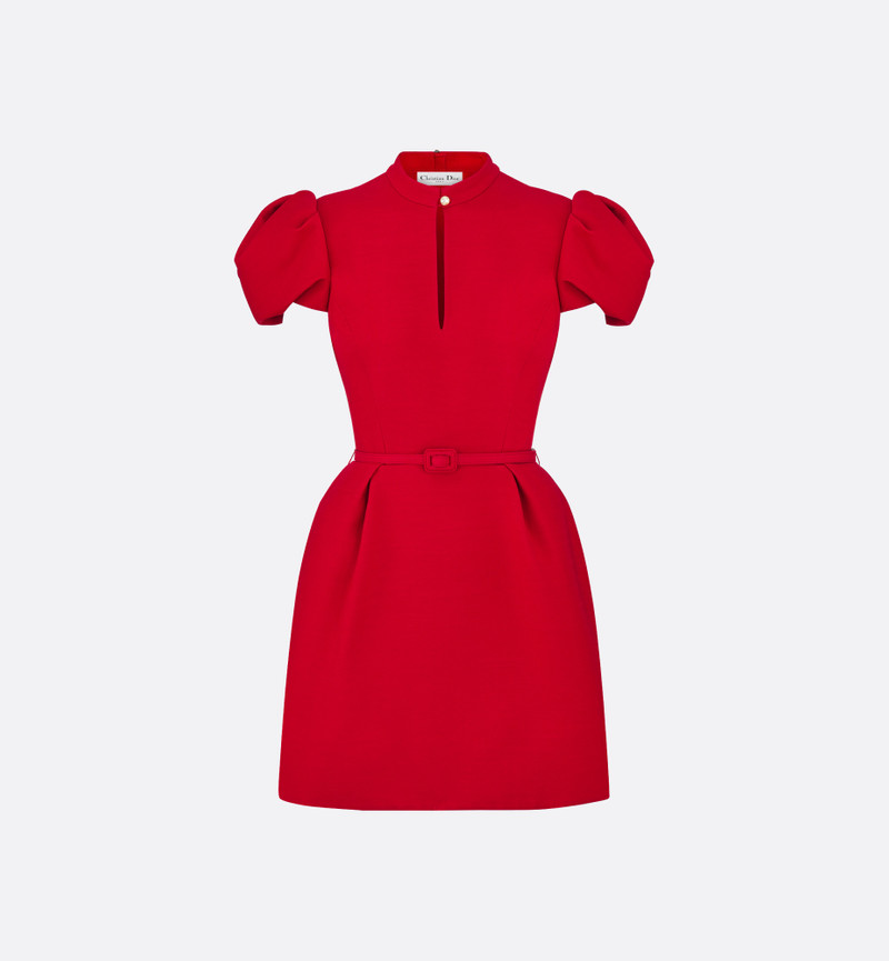 Belted Short Dress 1