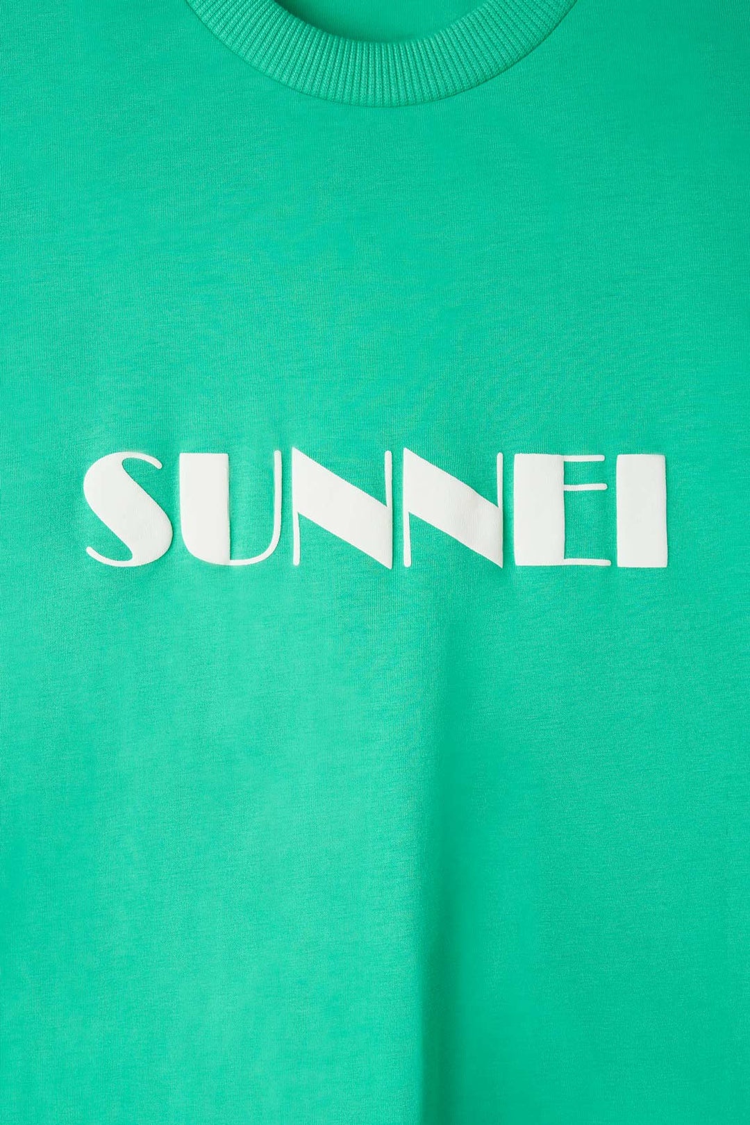 BIG LOGO SPRAYED T-SHIRT / emerald green - 6