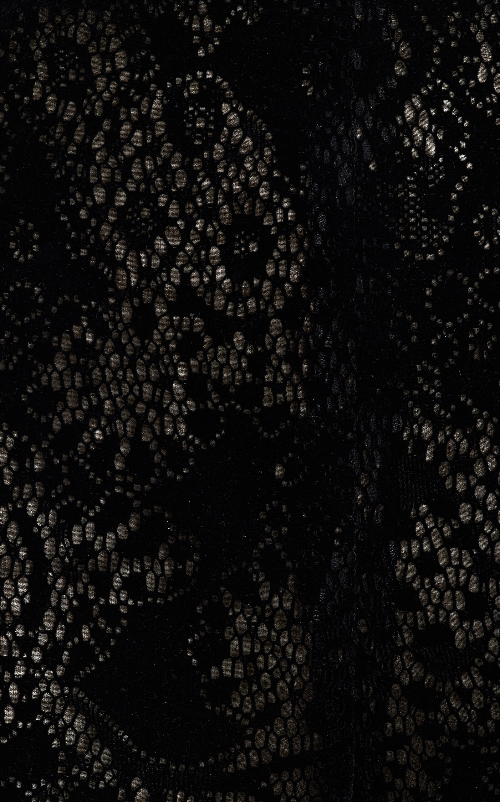 Flocked Floral Lace Straight-Leg Pants black - 9