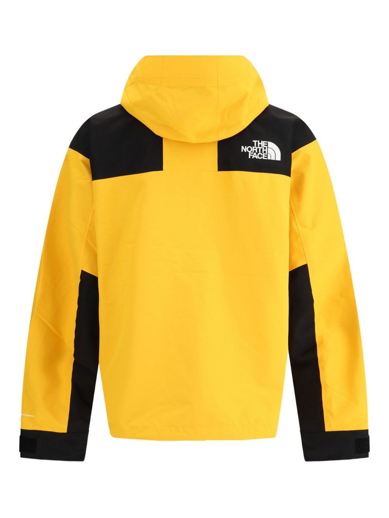 The North Face Dryvent Mono Mountain jacket outlook