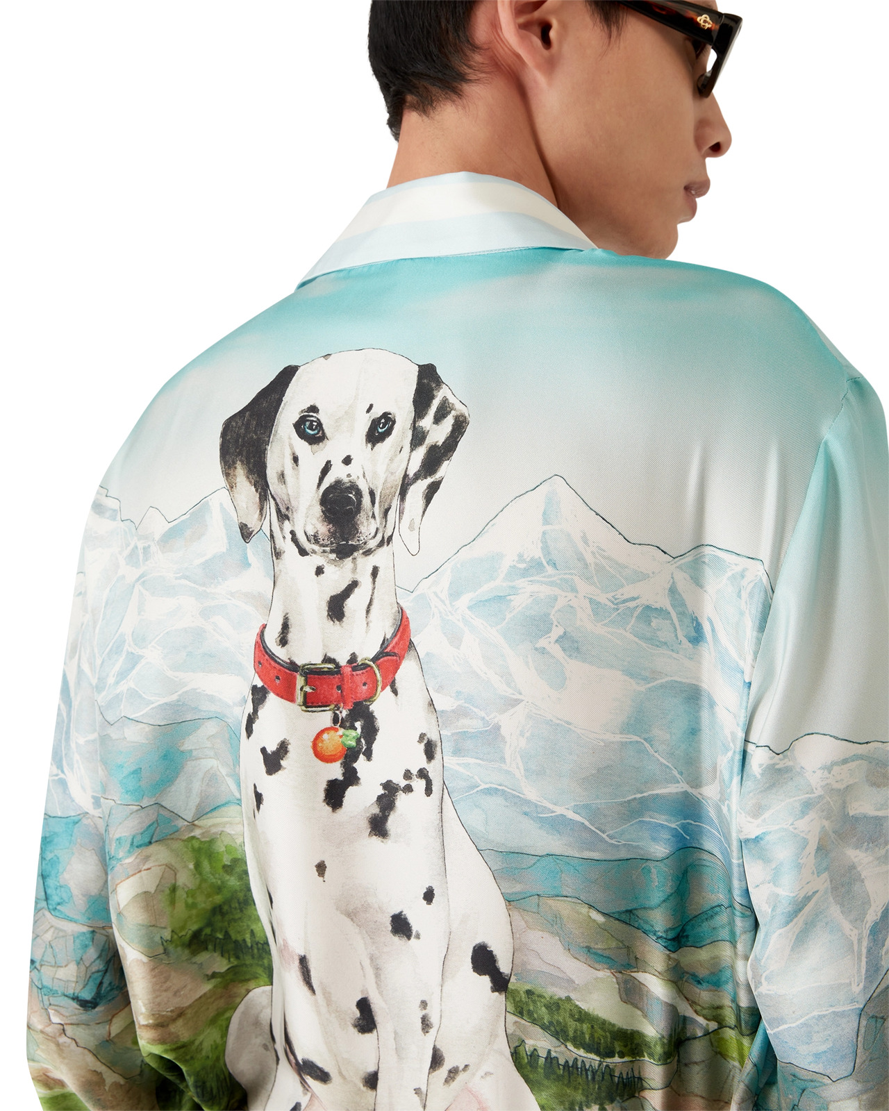 Dalmatian A La Montange Silk Long Sleeve Shirt - 9