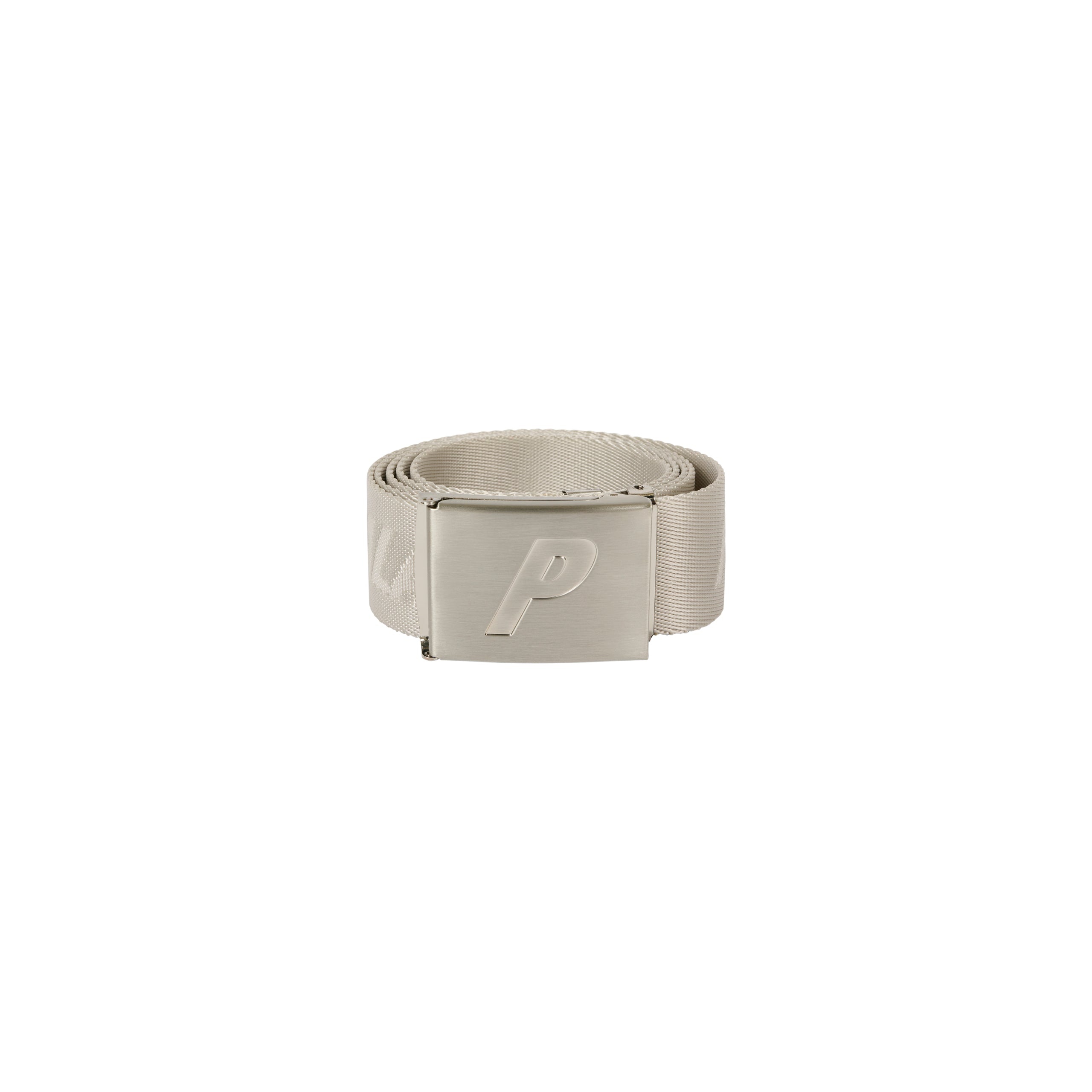 SKATE BELT GREY - 1
