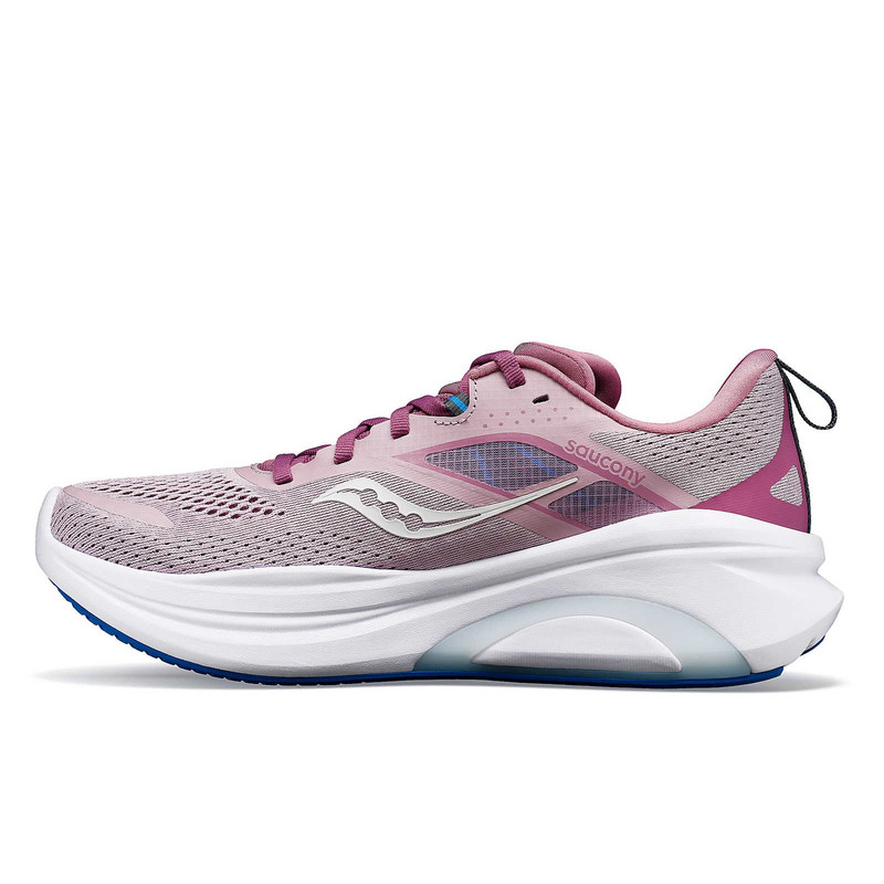Saucony Omni 22 outlook