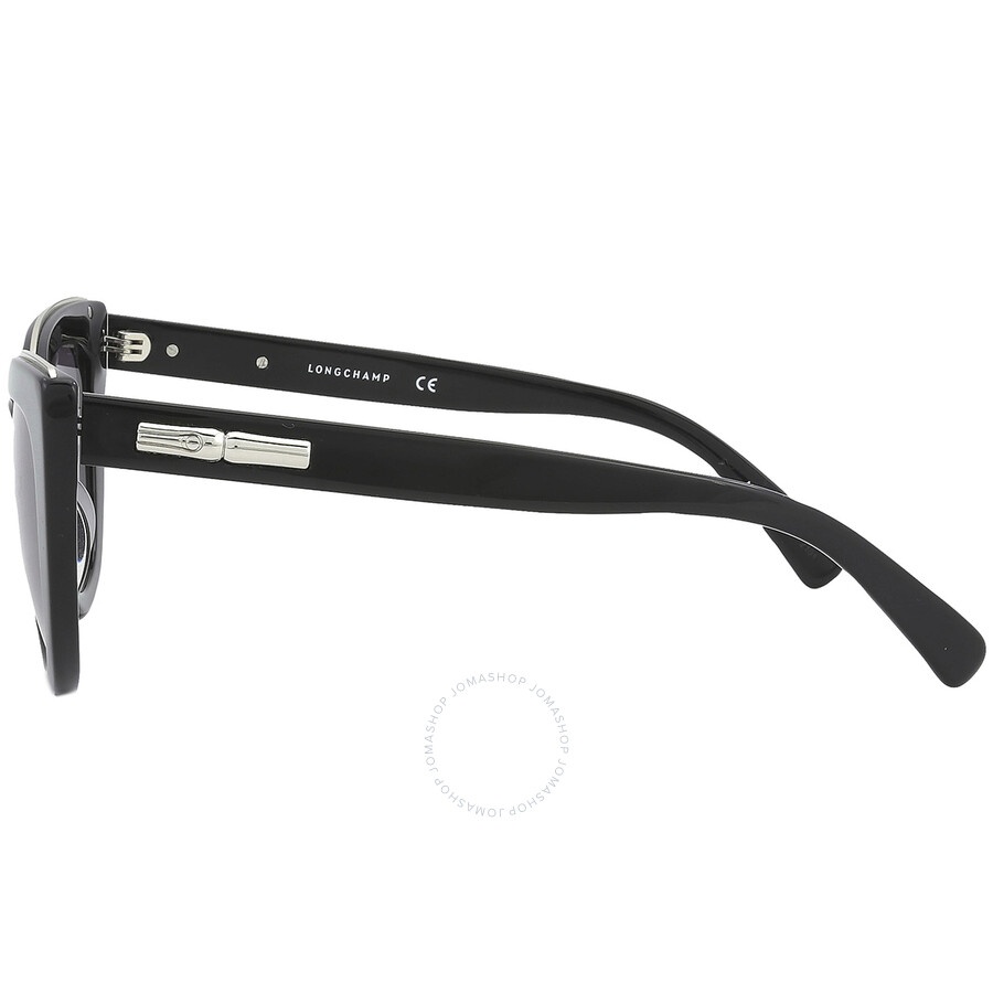 Longchamp Grey Cat Eye Ladies Sunglasses LO686S 001 51 - 4