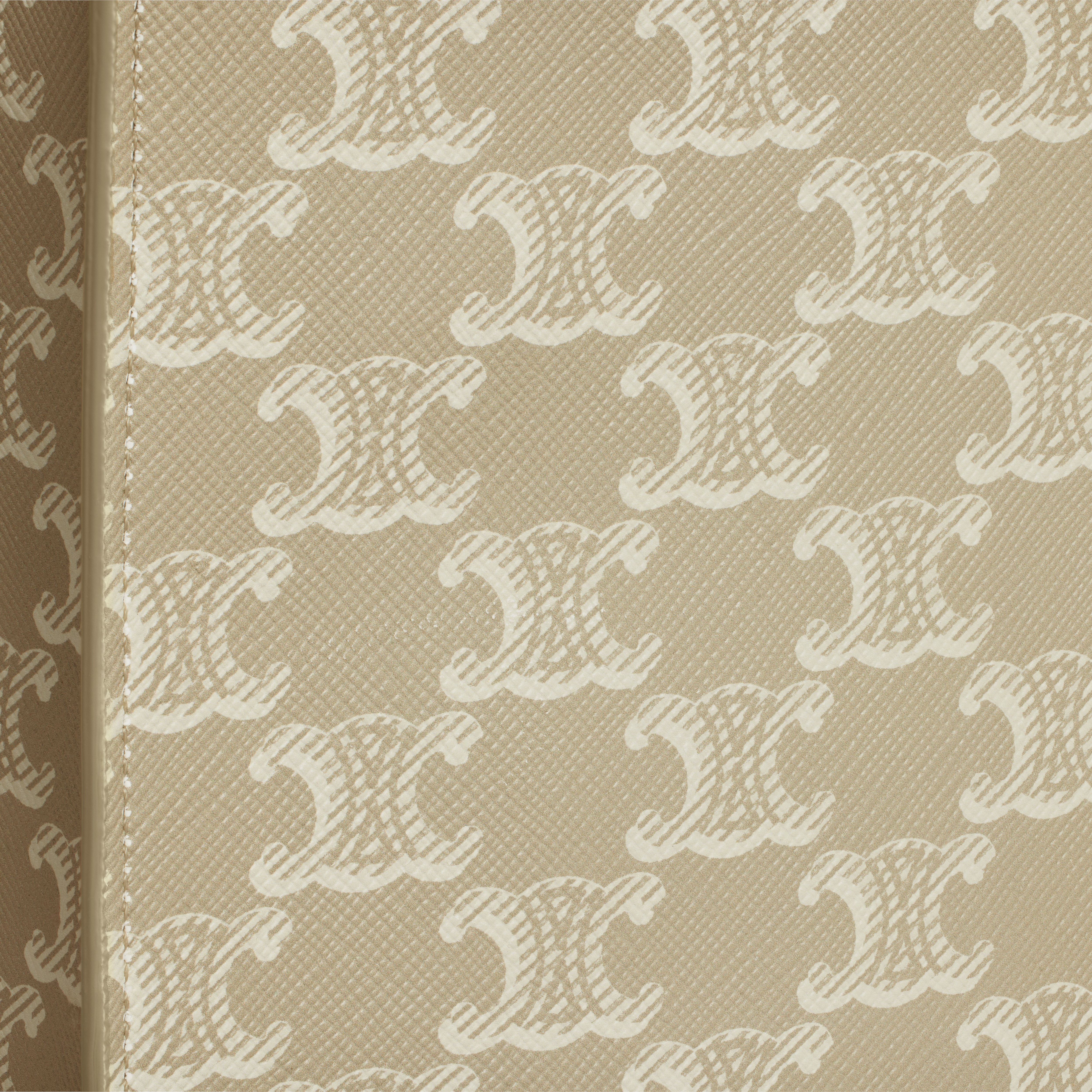 Mini Vertical Cabas in Triomphe Canvas and calfskin - 4