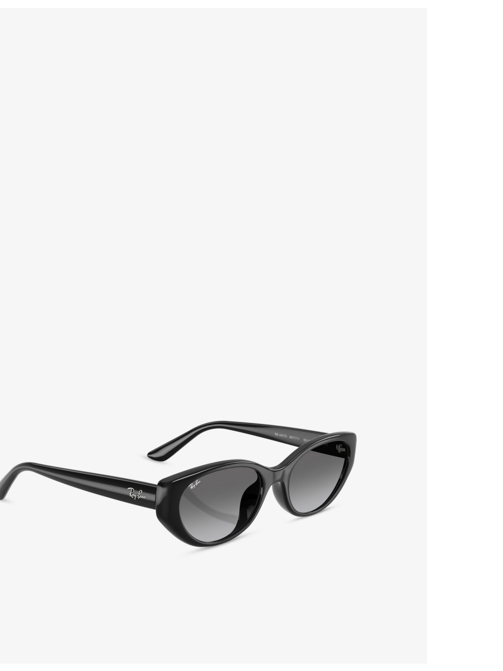 RB4457D Bio-Based Pillow-Frame Injected Sunglasses - 5