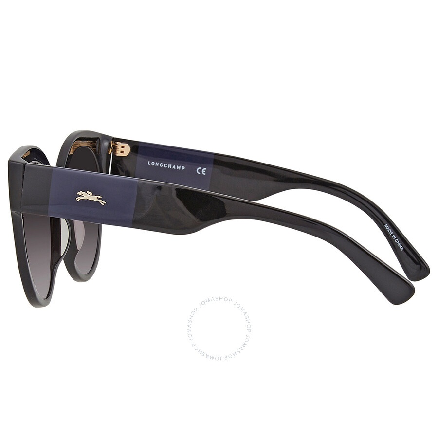Longchamp Grey Gradient Round Ladies Sunglasses LO673S 001 53 - 3