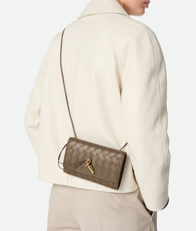 Bottega Veneta Andiamo Pouch On Strap outlook