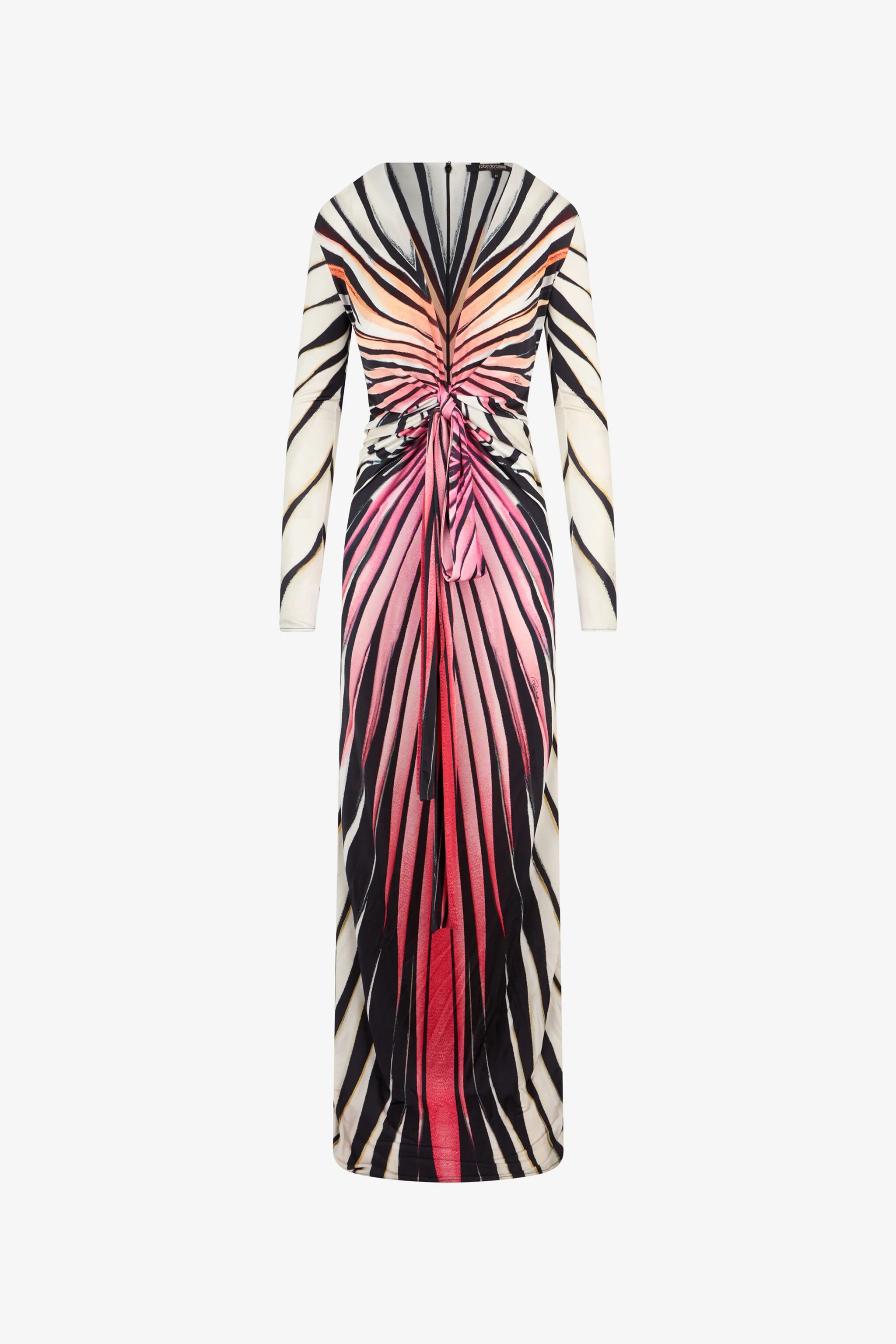 Ray Of Paradise Print Maxi Dress - 1