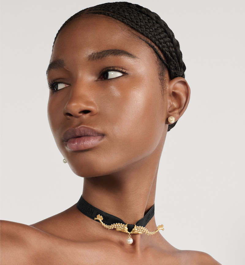 Dior Dior Arabesque Choker outlook