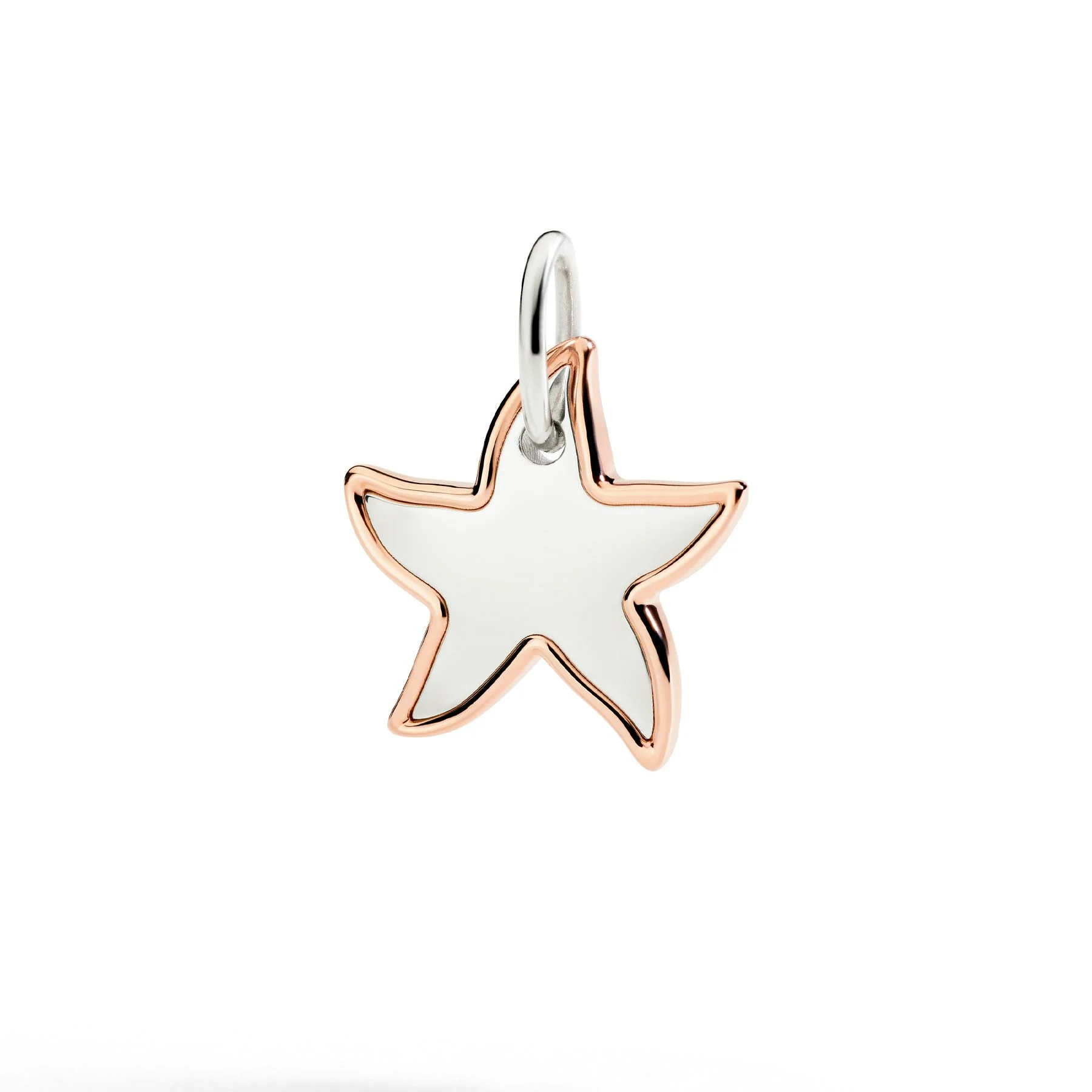 SILVER & ROSE GOLD XL STAR CHARM - 1