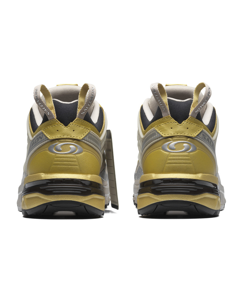 ACS PRO 20 Years Anniversary Golden Archive 7