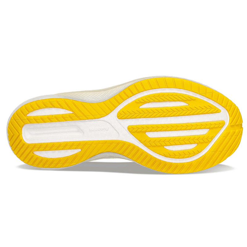 Surge 3 Mesh 4